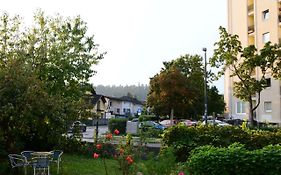 Flower Valley